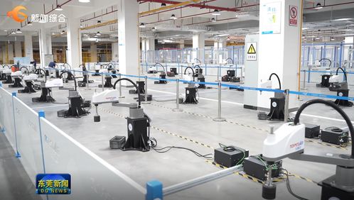 东莞要闻 影视拍摄新热点